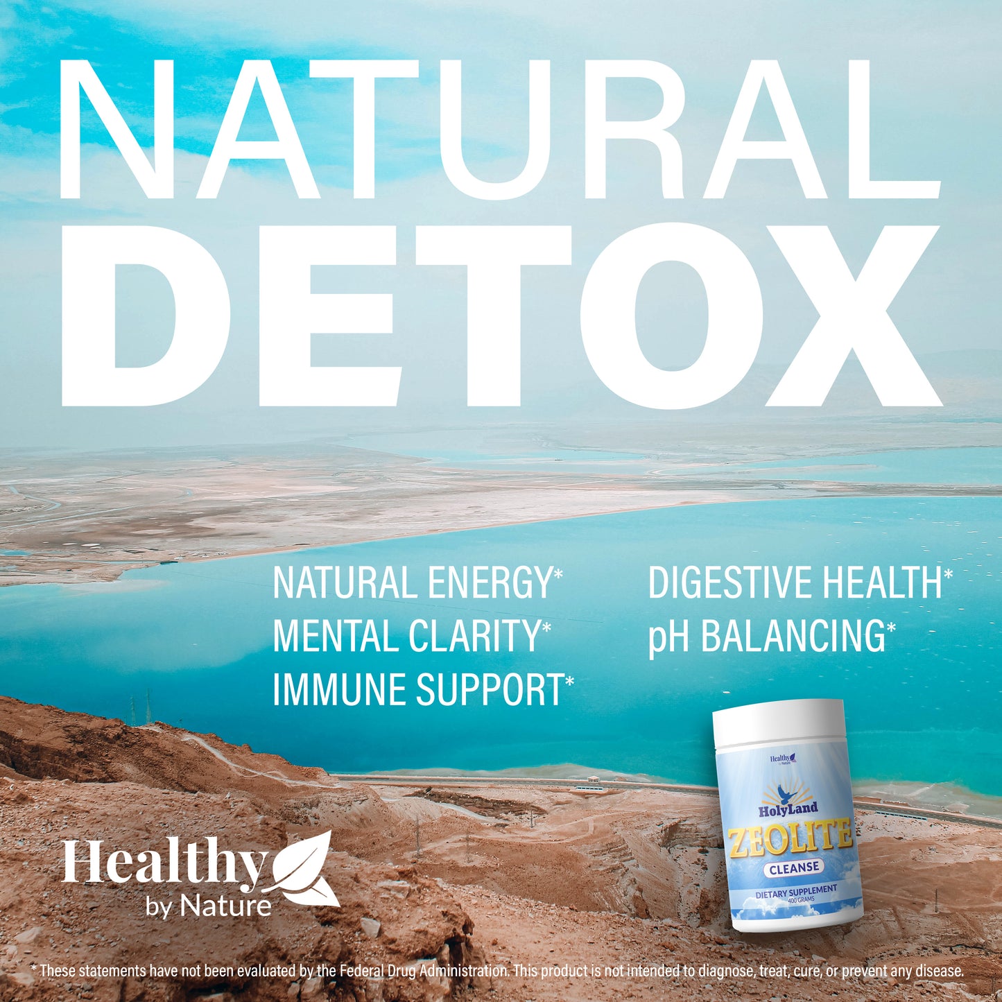 HolyLand Zeolite Cleanse - Zeolite Detox Powder for Full Body Detox of Environmental Toxins (400 Grams, Scoop Included)