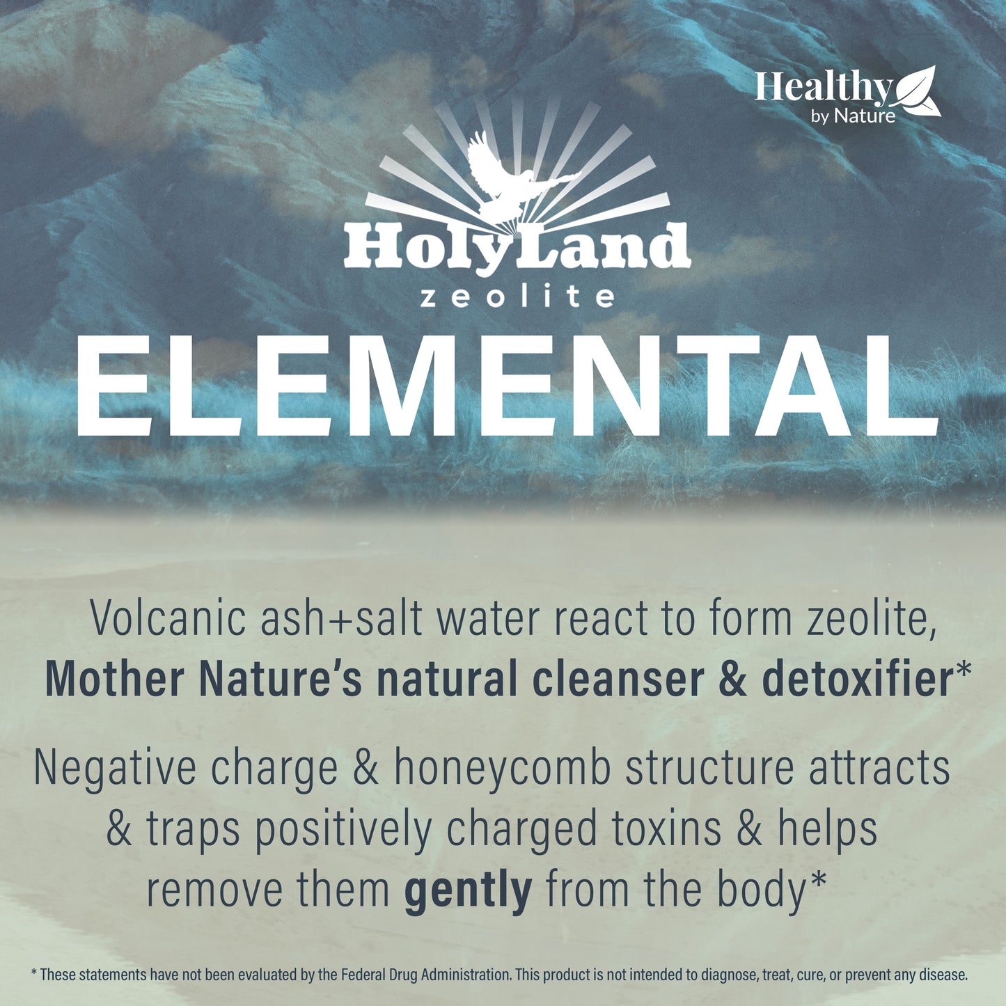HolyLand Zeolite Cleanse - Zeolite Detox Powder for Full Body Detox of Environmental Toxins (400 Grams, Scoop Included)