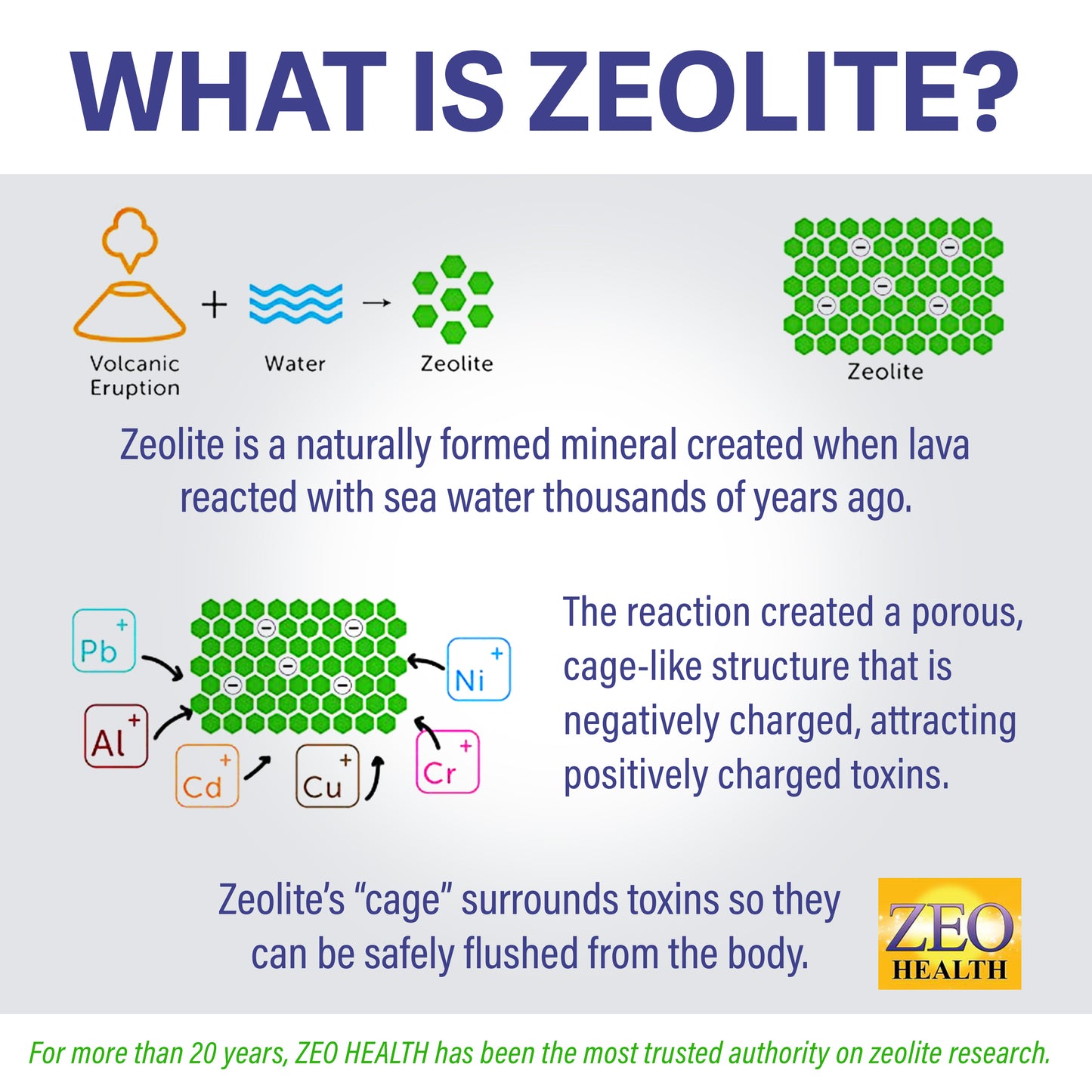 Zeolite Pure Capsules - Easy to Take & Convenient for Daily Detox & Detox Maintenance