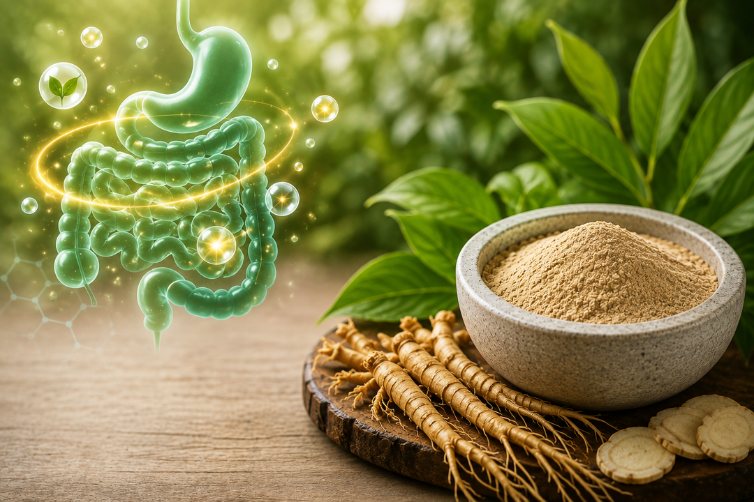 What Is AstraGin, and Does It Actually Do Anything? The Absorption Ingredient Explained