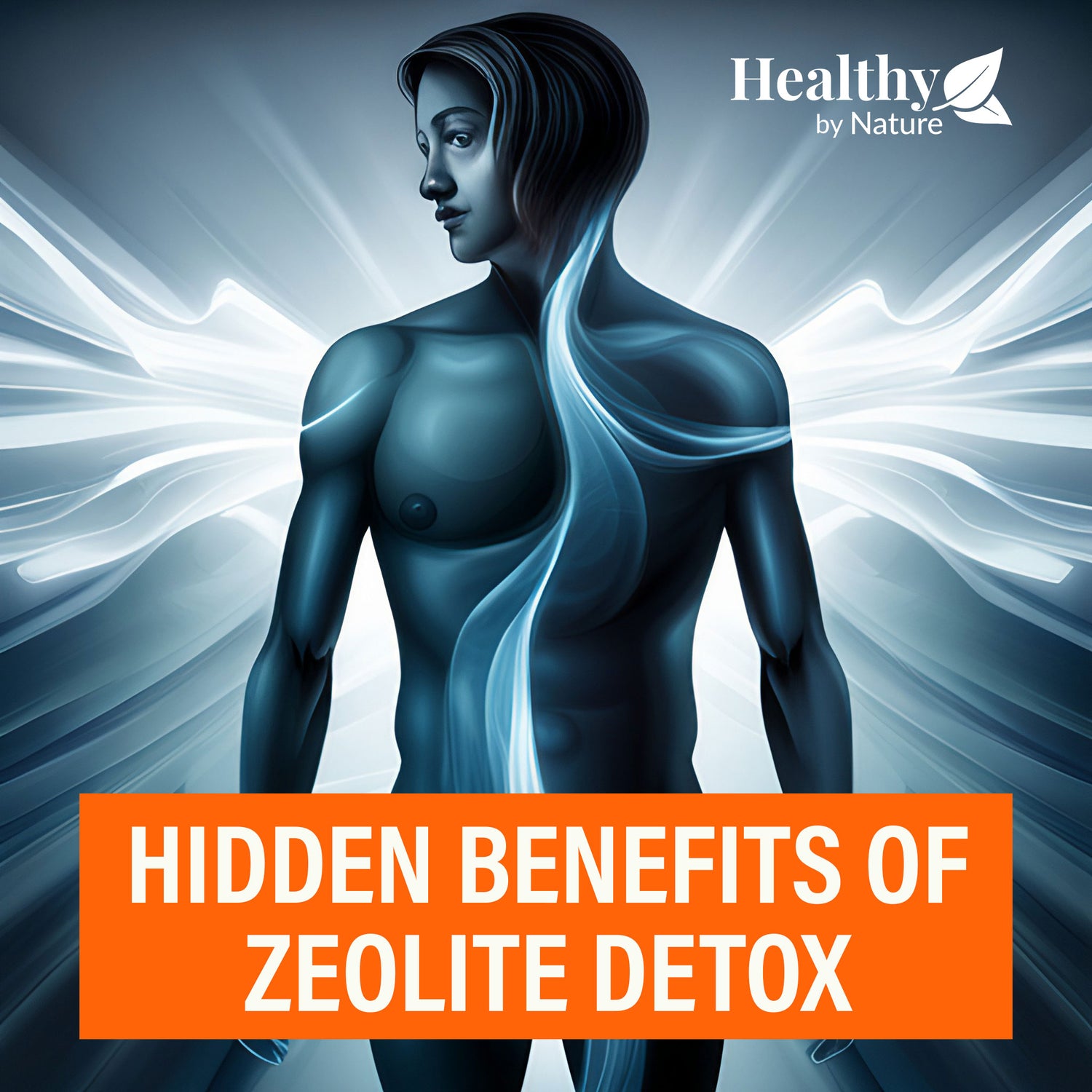 Zeolite Education Healthy By Nature