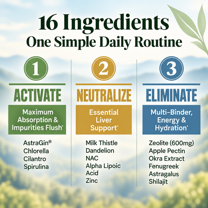 ZeoForce | Next-Level Full Body Detox — Zeolite, Liver & Gut Support System