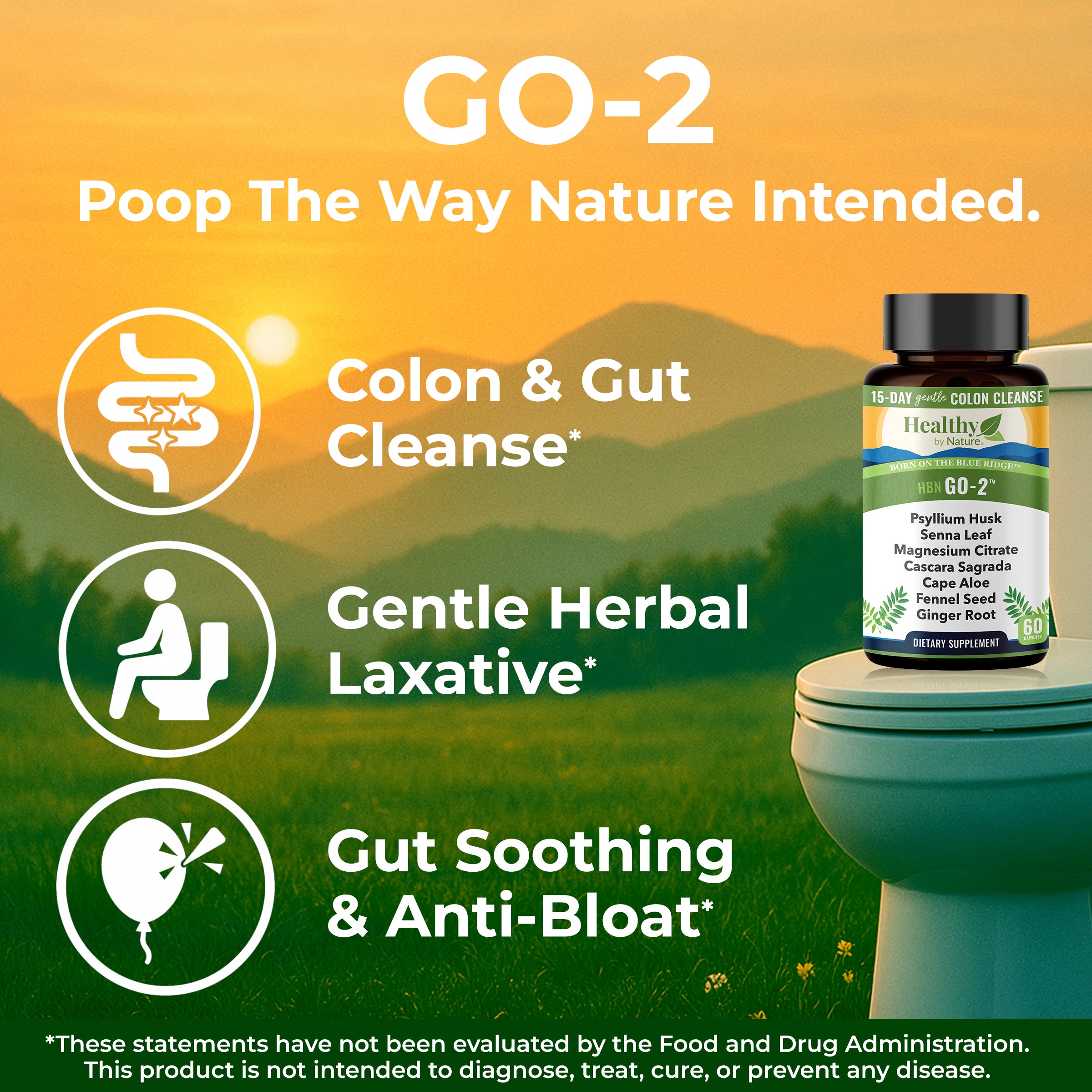 GO-2™ Advanced Colon & Gut Cleanse, Gentle Herbal Laxative and Stool Softener