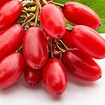 Berberine