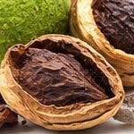 Black Walnut