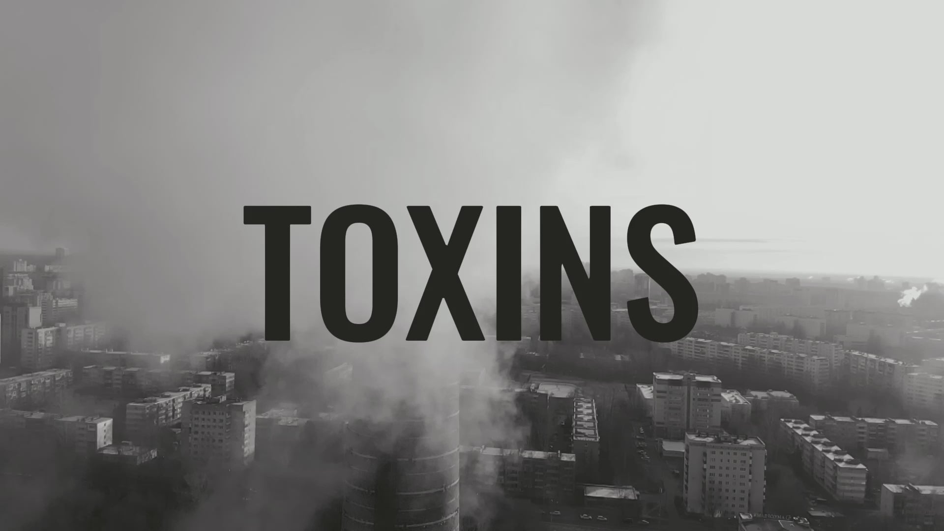 HolyLand Zeolite Cleanse™ Bonus Pack